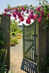 Open garden gate with roses